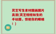 灵芝写生素材图画图片高清(灵芝栩栩如生的手绘图，惊艳你的眼睛！)