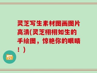 灵芝写生素材图画图片高清(灵芝栩栩如生的手绘图，惊艳你的眼睛！)