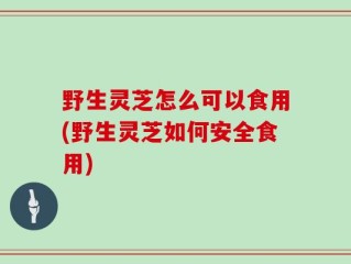 野生灵芝怎么可以食用(野生灵芝如何安全食用)