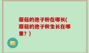 蘑菇的孢子粉在哪长(蘑菇的孢子粉生长在哪里？)