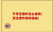 干灵芝摆件怎么保养(灵芝摆件保养指南)