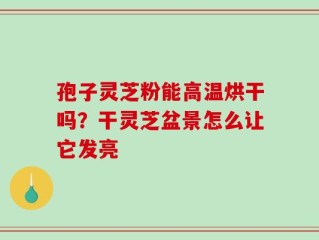 孢子灵芝粉能高温烘干吗？干灵芝盆景怎么让它发亮
