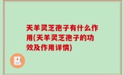 天羊灵芝孢子有什么作用(天羊灵芝孢子的功效及作用详情)