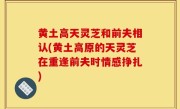 黄土高天灵芝和前夫相认(黄土高原的天灵芝在重逢前夫时情感挣扎)