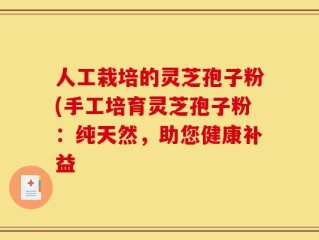 人工栽培的灵芝孢子粉(手工培育灵芝孢子粉：纯天然，助您健康补益
