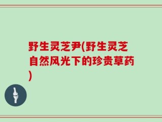 野生灵芝尹(野生灵芝自然风光下的珍贵草药)