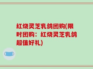 红烧灵芝乳鸽团购(限时团购：红烧灵芝乳鸽超值好礼)
