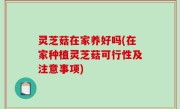 灵芝菇在家养好吗(在家种植灵芝菇可行性及注意事项)