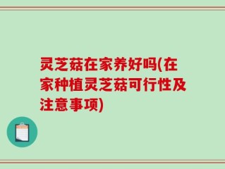 灵芝菇在家养好吗(在家种植灵芝菇可行性及注意事项)