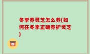 冬季养灵芝怎么养(如何在冬季正确养护灵芝)