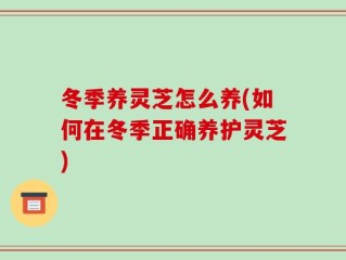 冬季养灵芝怎么养(如何在冬季正确养护灵芝)