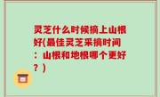 灵芝什么时候摘上山根好(最佳灵芝采摘时间：山根和地根哪个更好？)