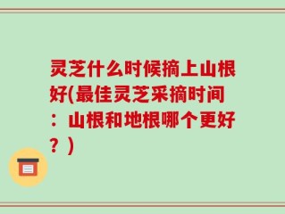 灵芝什么时候摘上山根好(最佳灵芝采摘时间：山根和地根哪个更好？)
