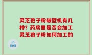 灵芝孢子粉破壁机有几种？药房里是否会加工灵芝孢子粉如何加工的