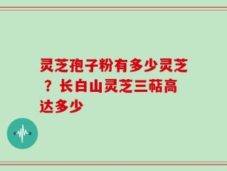 灵芝孢子粉有多少灵芝 ？长白山灵芝三萜高达多少