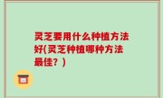 灵芝要用什么种植方法好(灵芝种植哪种方法最佳？)