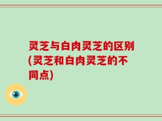 灵芝与白肉灵芝的区别(灵芝和白肉灵芝的不同点)