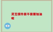 灵芝摆件需不需要加油呢
