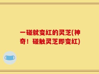 一碰就变红的灵芝(神奇！碰触灵芝即变红)