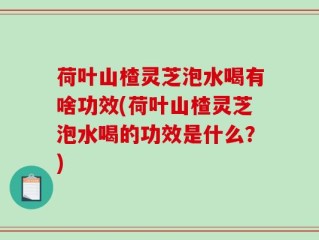 荷叶山楂灵芝泡水喝有啥功效(荷叶山楂灵芝泡水喝的功效是什么？)