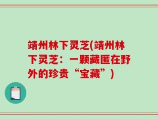靖州林下灵芝(靖州林下灵芝：一颗藏匿在野外的珍贵“宝藏”)