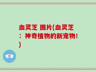 血灵芝 图片(血灵芝：神奇植物的新宠物！)