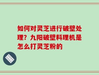 如何对灵芝进行破壁处理？九阳破壁料理机是怎么打灵芝粉的