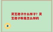 灵芝孢子什么样子？灵芝孢子粉是怎么样的