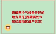 西藏两个气候条件好的地方灵芝(西藏两处气候优越地区盛产灵芝)
