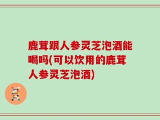鹿茸跟人参灵芝泡酒能喝吗(可以饮用的鹿茸人参灵芝泡酒)