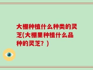 大棚种植什么种类的灵芝(大棚里种植什么品种的灵芝？)