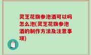灵芝花旗参泡酒可以吗怎么泡(灵芝花旗参泡酒的制作方法及注意事项)