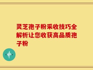 灵芝孢子粉采收技巧全解析让您收获高品质孢子粉