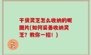 干货灵芝怎么收纳的呢图片(如何妥善收纳灵芝？教你一招！)