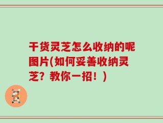 干货灵芝怎么收纳的呢图片(如何妥善收纳灵芝？教你一招！)