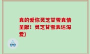 真的爱你灵芝甘雪真情呈献！灵芝甘雪表达深爱)