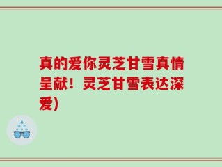 真的爱你灵芝甘雪真情呈献！灵芝甘雪表达深爱)
