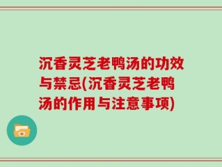 沉香灵芝老鸭汤的功效与禁忌(沉香灵芝老鸭汤的作用与注意事项)