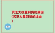 灵芝大批量到货的原因(灵芝大量到货的缘由)