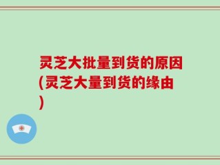 灵芝大批量到货的原因(灵芝大量到货的缘由)