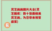 灵芝画画图片大全(灵芝图库：数十张最精美灵芝画，为您带来视觉盛宴)