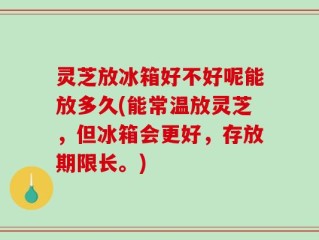 灵芝放冰箱好不好呢能放多久(能常温放灵芝，但冰箱会更好，存放期限长。)