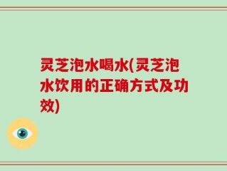 灵芝泡水喝水(灵芝泡水饮用的正确方式及功效)