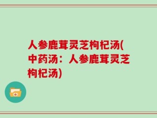 人参鹿茸灵芝枸杞汤(中药汤：人参鹿茸灵芝枸杞汤)