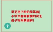 灵芝孢子粉的简笔画(小学生都能看懂的灵芝孢子粉简易图解)