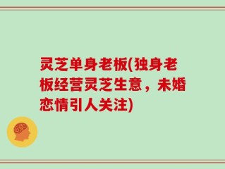 灵芝单身老板(独身老板经营灵芝生意，未婚恋情引人关注)