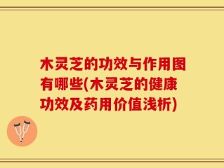 木灵芝的功效与作用图有哪些(木灵芝的健康功效及药用价值浅析)