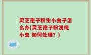 灵芝孢子粉生小虫子怎么办(灵芝孢子粉发现小虫 如何处理？)