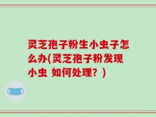 灵芝孢子粉生小虫子怎么办(灵芝孢子粉发现小虫 如何处理？)