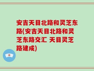 安吉天目北路和灵芝东路(安吉天目北路和灵芝东路交汇 天目灵芝路建成)